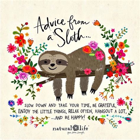A Little Bit Of This And A Little Bit Of That In 2020 Sloth Natural Life Quotes Sloth Art