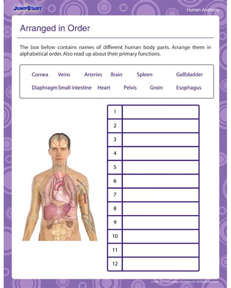 As second graders struggle with new concepts. Arranged in Order - Free Printable Science Worksheet for ...