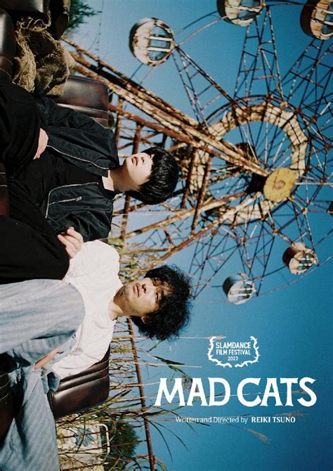 Mad Cats Poster Nightmarish Conjurings