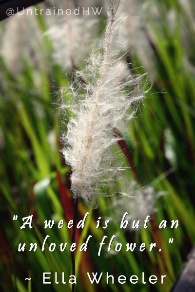 Quotes from famous authors, movies and people. Journal, Scrapbooking, or Seed Swap Quotes About Weeds