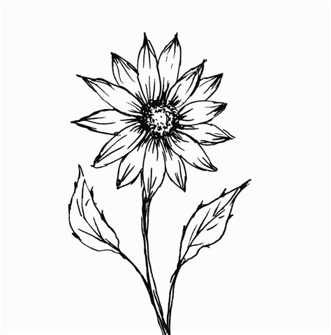 Terbaik Dari Contoh Gambar Flora Kartun - Bunga Hias