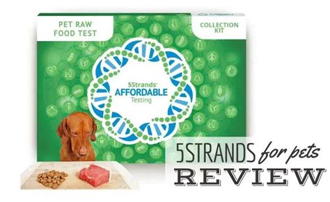 5strands Review Are Their At Home Pet Allergy Tests Reliable