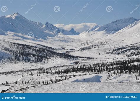 Winter Mountain Scene At Tombstone Territorial Park Yukon Stock Image