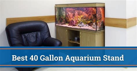 The Best 40 Gallon Aquarium Stand For 2023 Breeder And Long