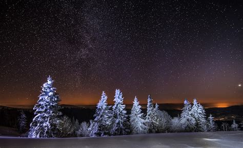 Premium Photo Mesmerizing Night Landscape Snowy Fir Trees Grow Among