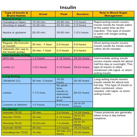 Insulin Guide Cheat Sheet 1 Page Printable Pdf Digital Etsy Types