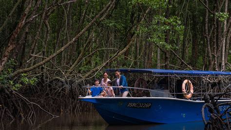 Mangrove Eco Tour Gha Discovery Loyalty Gha Loyalty Program