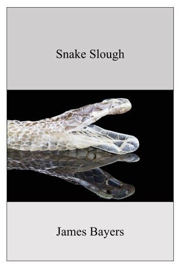 Snake Slough ebook by James Bayers