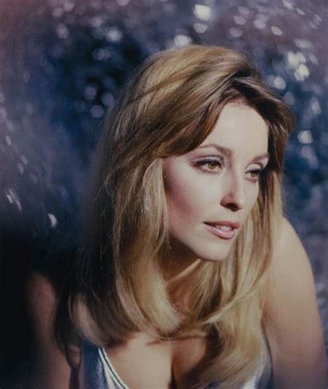 The Sensational Sharon Tate Blog Photographer Sharok Hatami And Sharon