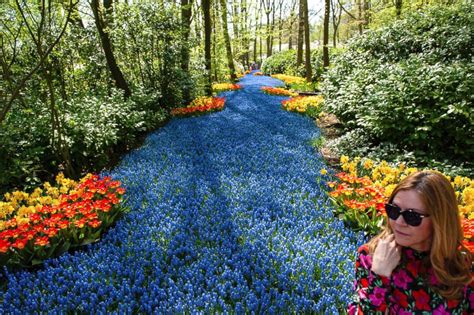 The Garden Of Europe Is In Full Bloom In The Netherlands Abc News