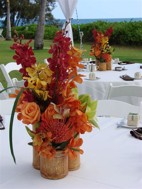 The flowers, butterflies and panoramic pics are gorgeous. Google Image Result for http://designsbyhemingway.com/blog ...