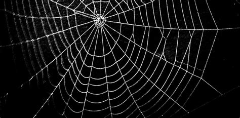 Illuminating The ‘dark Web