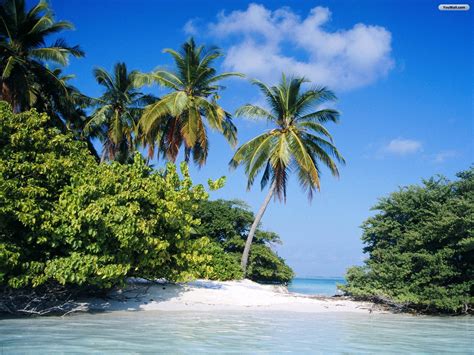 Tropical Island Desktop Backgrounds Wallpapersafari