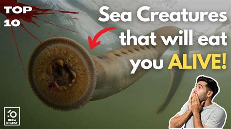 Forget Sharks These 10 Terrifying Sea Creatures Will Give You