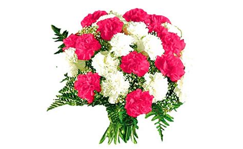 7 Flowers That Are Commonly Used In Bouquets Floweraura