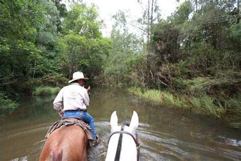 Noosa Sunshine Coast Horse Riding Holidays And Safaris