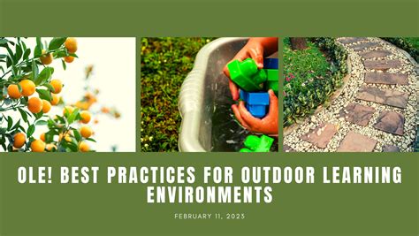 Ole Best Practices For Outdoor Learning Environments Texan By Nature