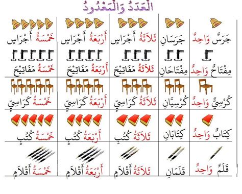 بحث عن العدد والمعدود