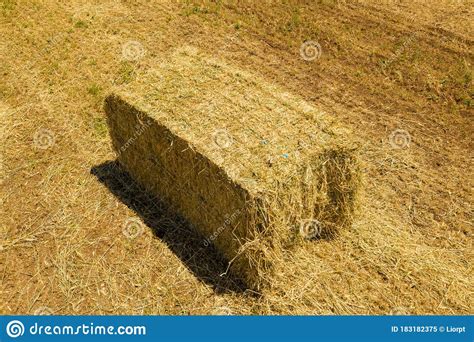 Large Square Hay Bale In A Field Stock Image Image Of Agricultural