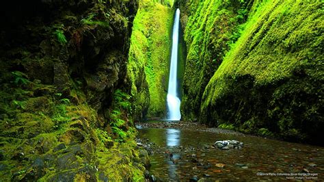 Hd Wallpaper Oneonta Falls Columbia River Gorge Oregon Waterfalls