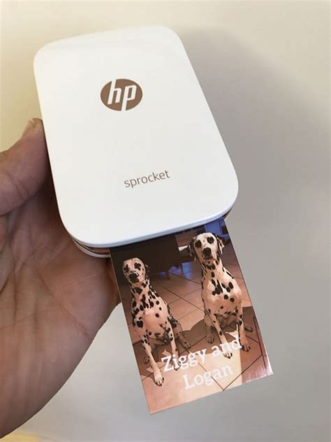 Hp Sprocket Photo Printer Review A Fun Way To Print Pictures Off Your