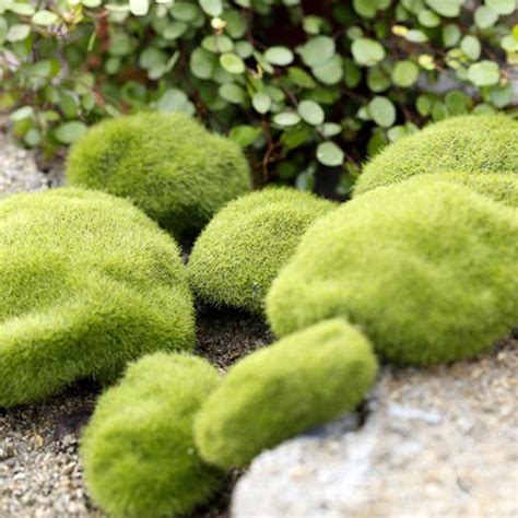Buy Home Miniature Simulation Landscape Grass Micro Decoration Fairy