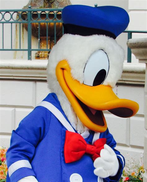 Donald Duck Lostindisneydreams Flickr