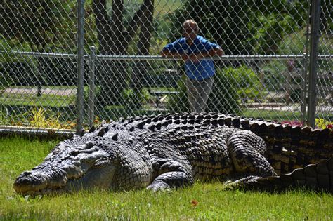 Worlds Largest Crocodile Ever Caught