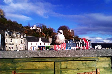 Tobermory