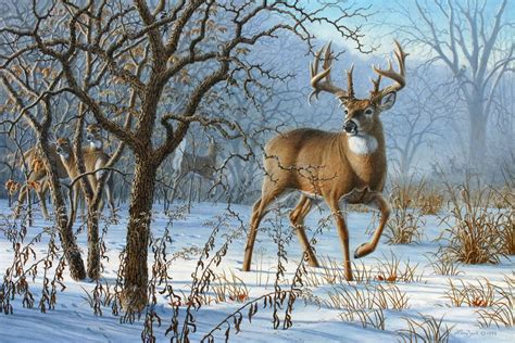 Winter Sunrise Whitetail Hunting Art Wildlife Art Wildlife Paintings