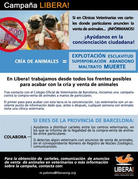 Mi Pequeño Rincón CampaÑa Contra La Compra Venta De Animales Por