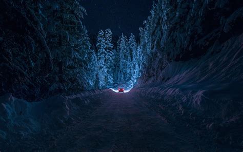 Winter Night Nature Forest Snow Path Wallpapers Hd