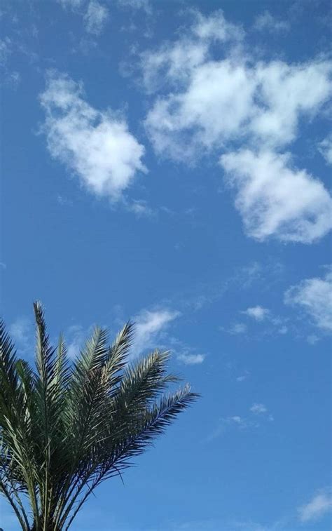 Begitu juga dengan kehidupan kita. 30++ Gambar Langit Cerah - Foto Pemandangan HD