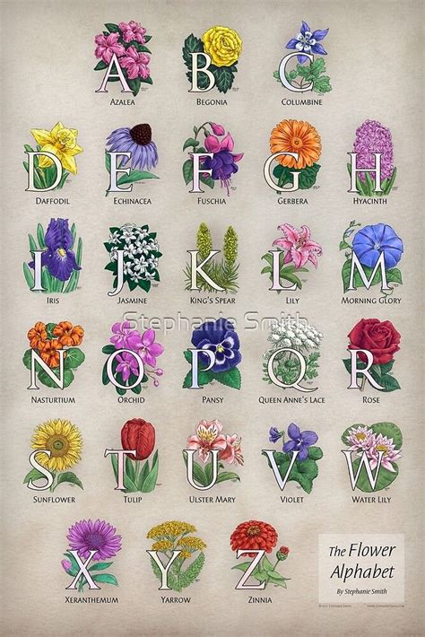Das Florale Alphabet Von Stephanie Smith Redbubble Alphabet Magnets