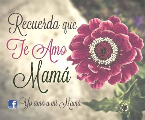 Pin De Yo Amo A Mi Familia En Yo ♥ A Mi Mamá Te Amo Mamá Te Amo Mamá