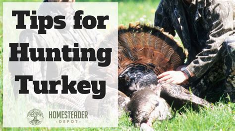Tips For Hunting Turkey Survival Stronghold