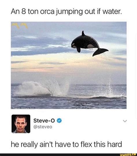 An 8 Ton Orca Jumping Out If Water