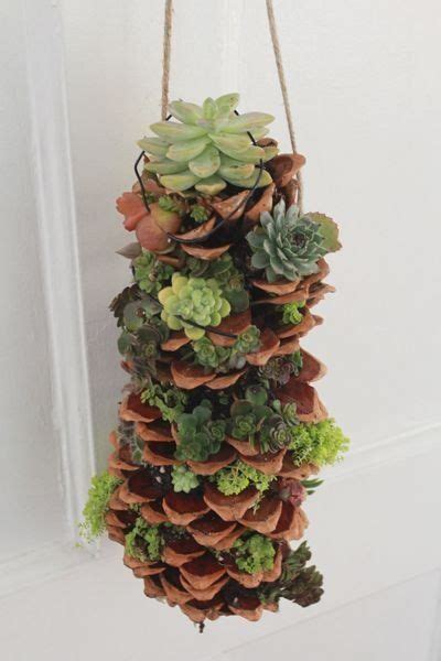 Diy Project Make A Gorgeous Hanging Succulent Tower 1000