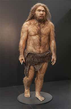 Why Did Neanderthals Go Extinct Some Years Ago 28152 The Best Porn