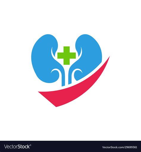 Health Kidney Logo Design Inspiration Template Vector Image