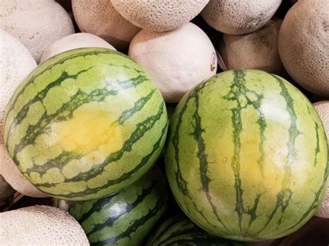 How To Determine A Ripe Melon Vegetables