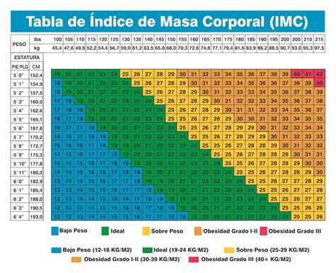 Como Sacar El Indice De Masa Corporal Ejemplo Actualizado Diciembre