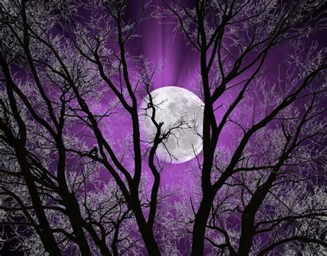 Black Purple Wall Art Picture Moon Tree Decor Purple Modern