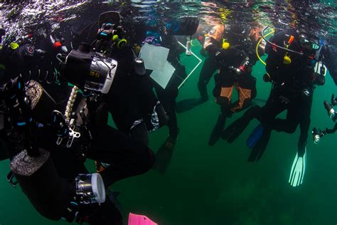 Annie Crawleys Dive Team — Edmonds Underwater Park