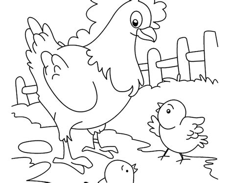 Gambar Mewarnai Ayam Mewarnai Gambar Ayam Farm Coloring Pages Chicken
