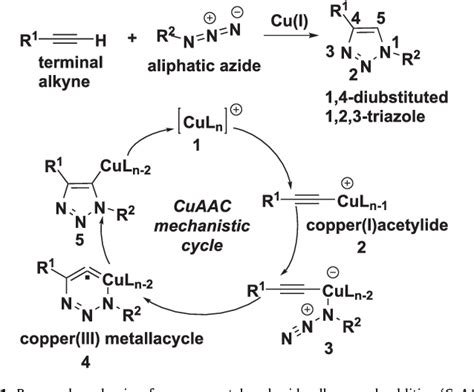 Figure 1 From Advances Of Azide Alkyne Cycloaddition Click Chemistry