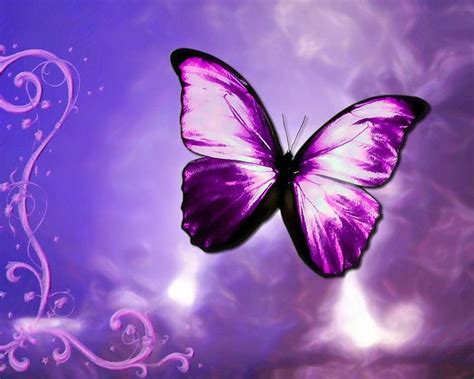 Moving Butterfly Animated Butterfly Hd Wallpaper Pxfuel