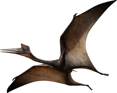 Pterosaurs Png Images Transparent Free Download Pngmart
