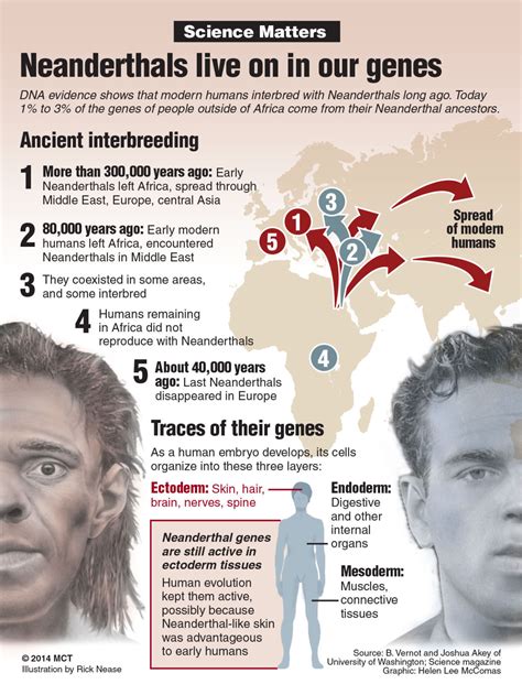 The SciHawk: The Neanderthal in all of us - The Seahawk