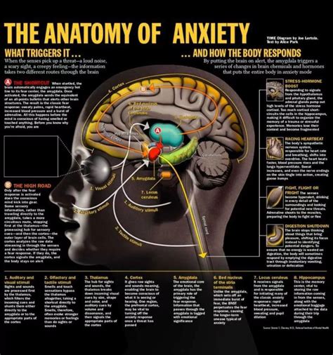 21 Infographics About Anxiety And How To Get Rid Of This Feeling
